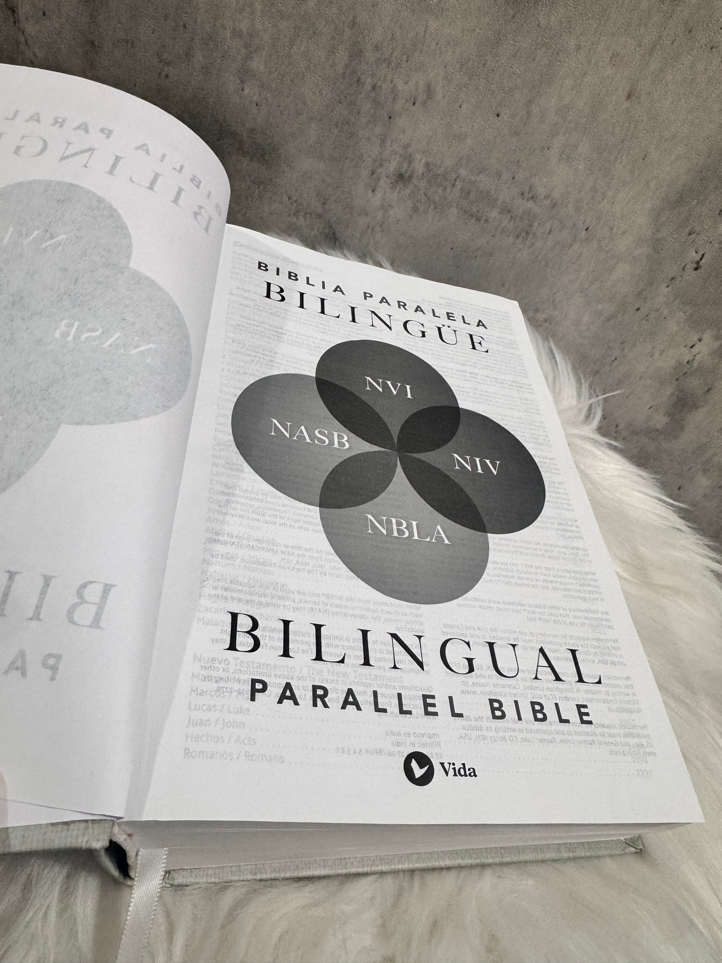 Biblia Paralela Bilingue