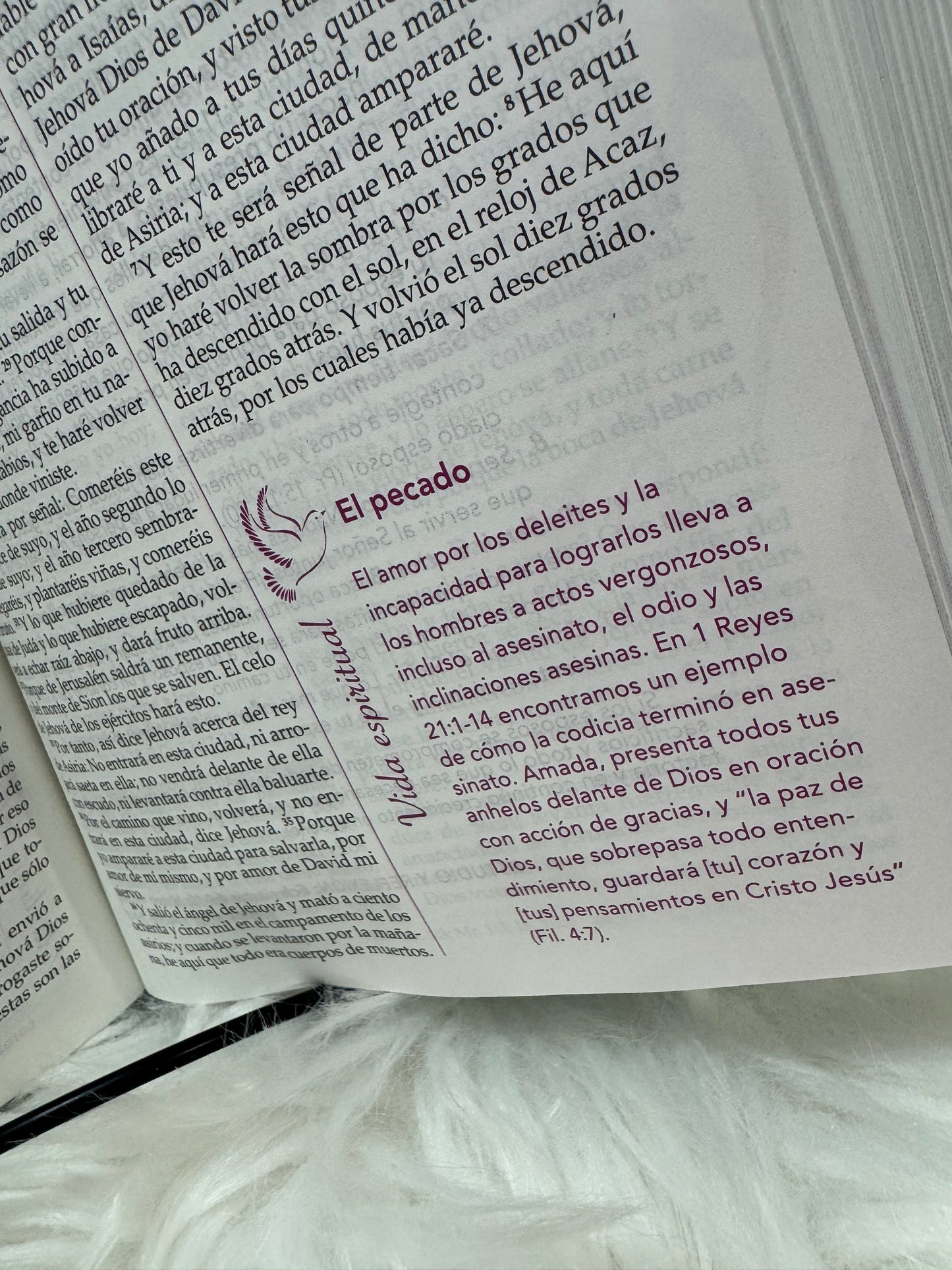 Biblia de la mujer Conforme al corazón de Dios