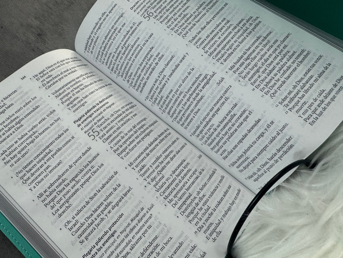 Biblia de piel con Imán