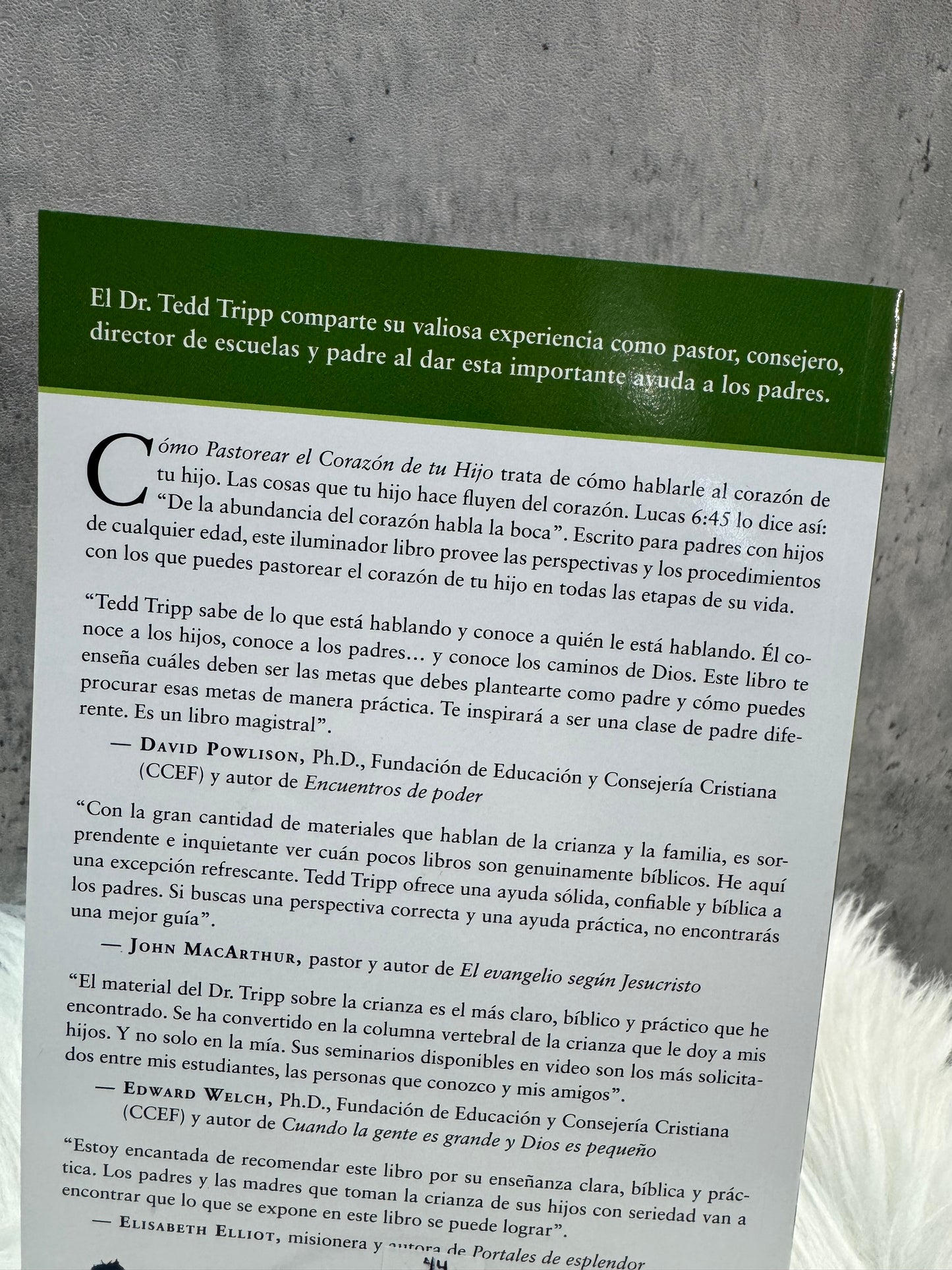 ¿Còmo Pastorear el corazón de tu Hijo?