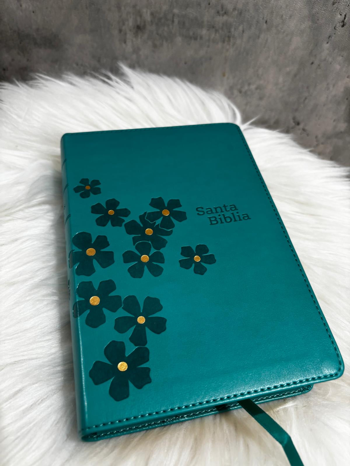 Santa Biblia NTV