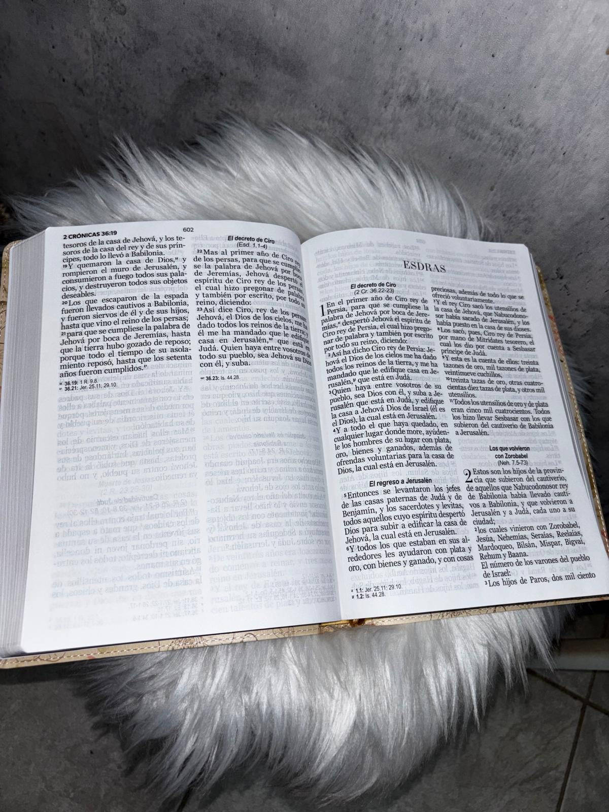 Biblia (RV1960) Mas Vale Adquirir Sabiduria que Oro