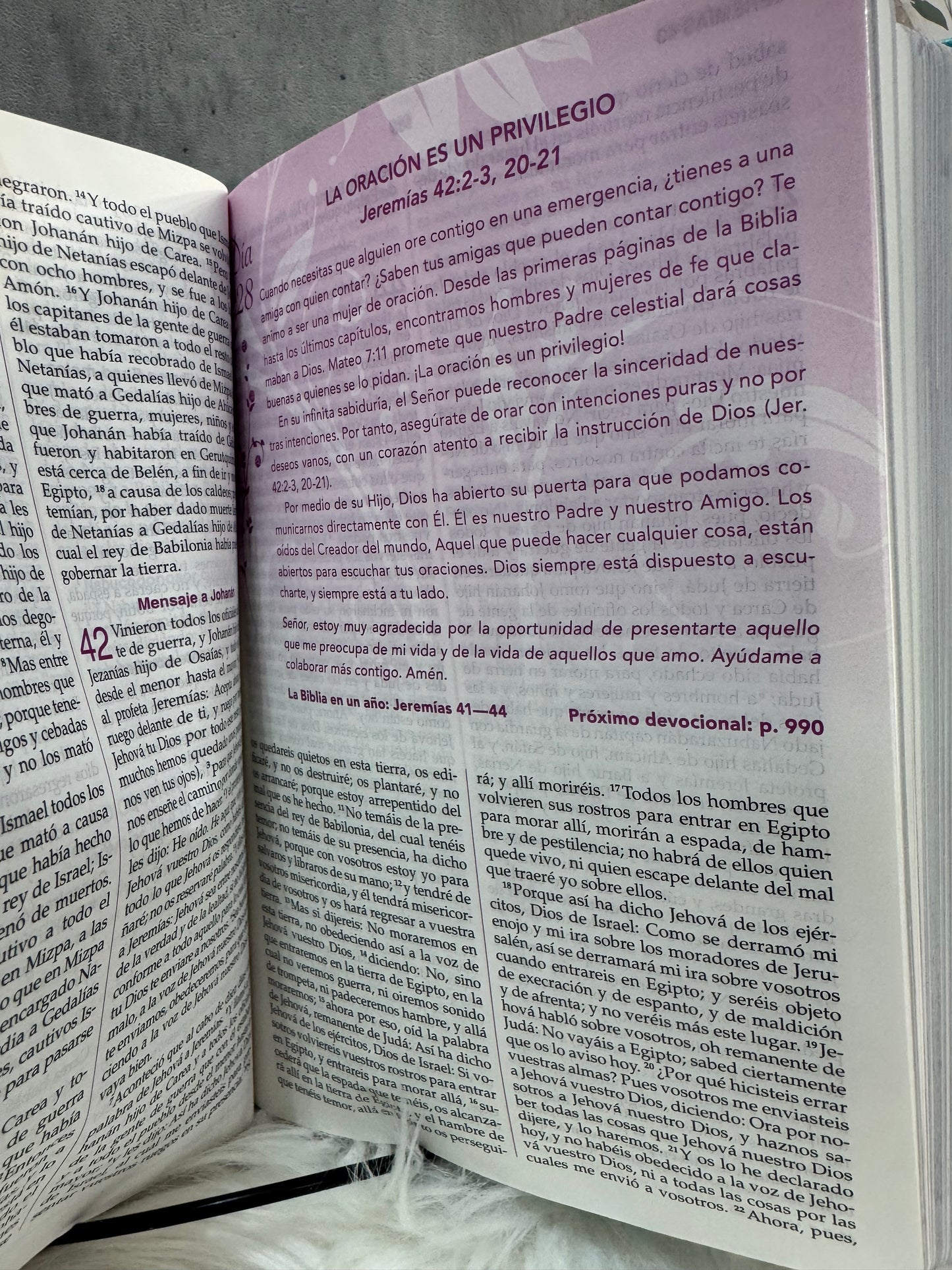 Biblia de la mujer Conforme al corazón de Dios