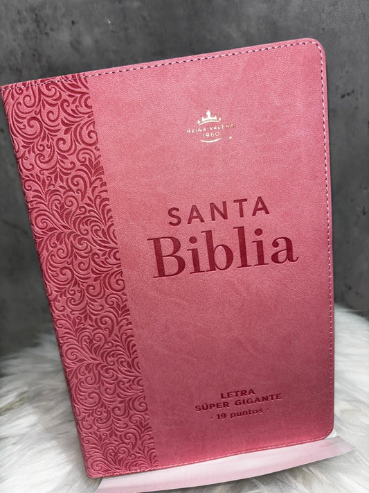 Santa Biblia Rosa (RV1960)