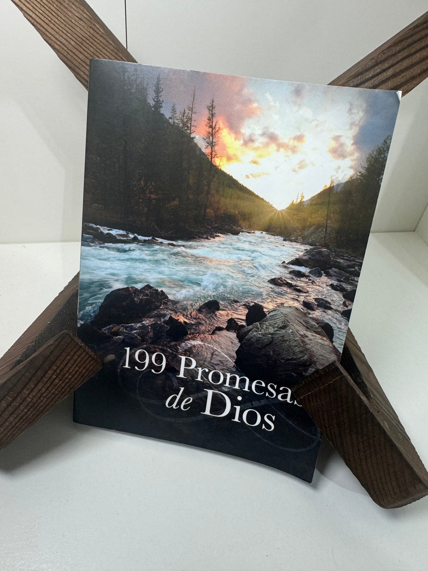 199 Promesas de Dios