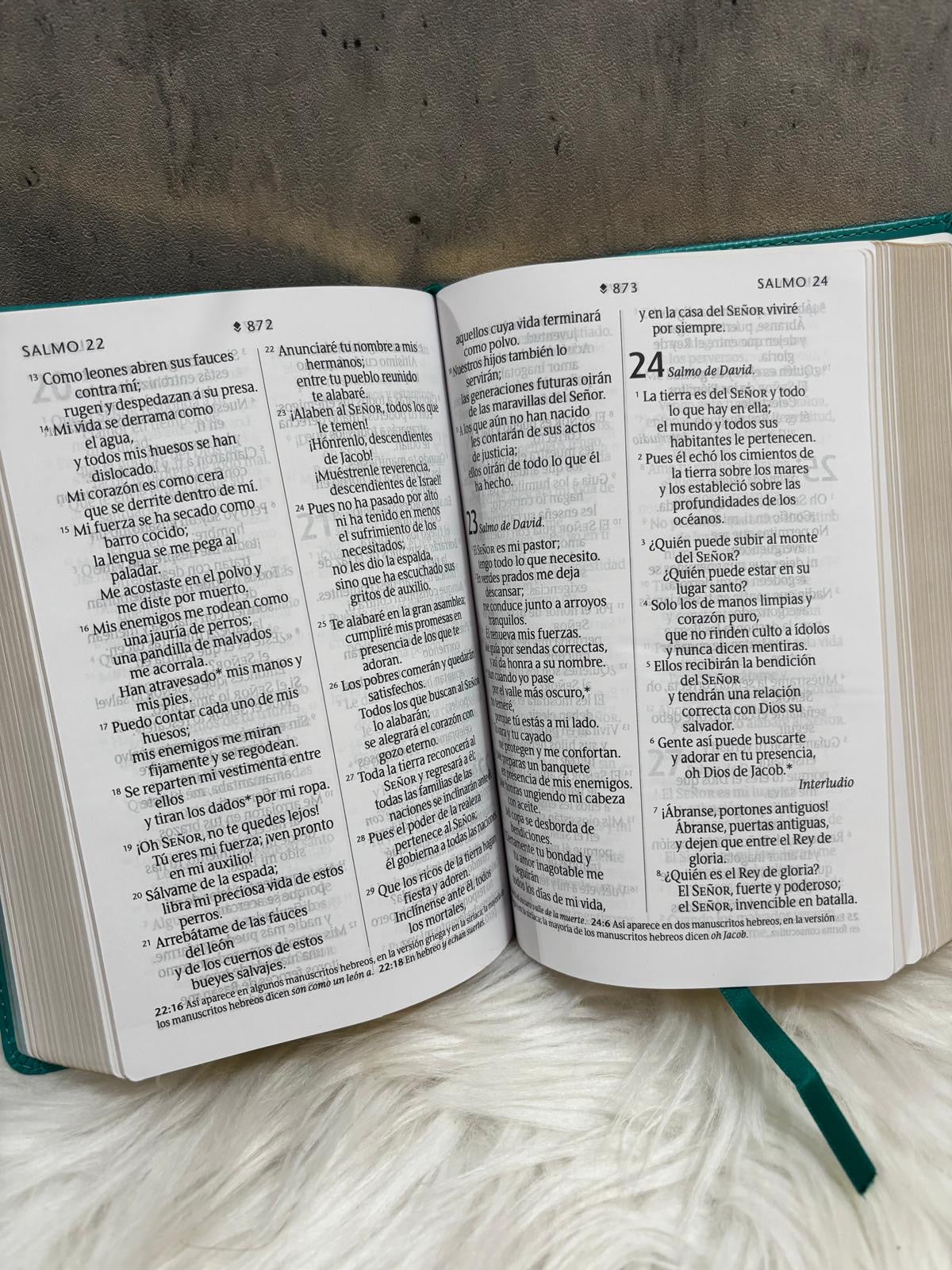 Santa Biblia NTV