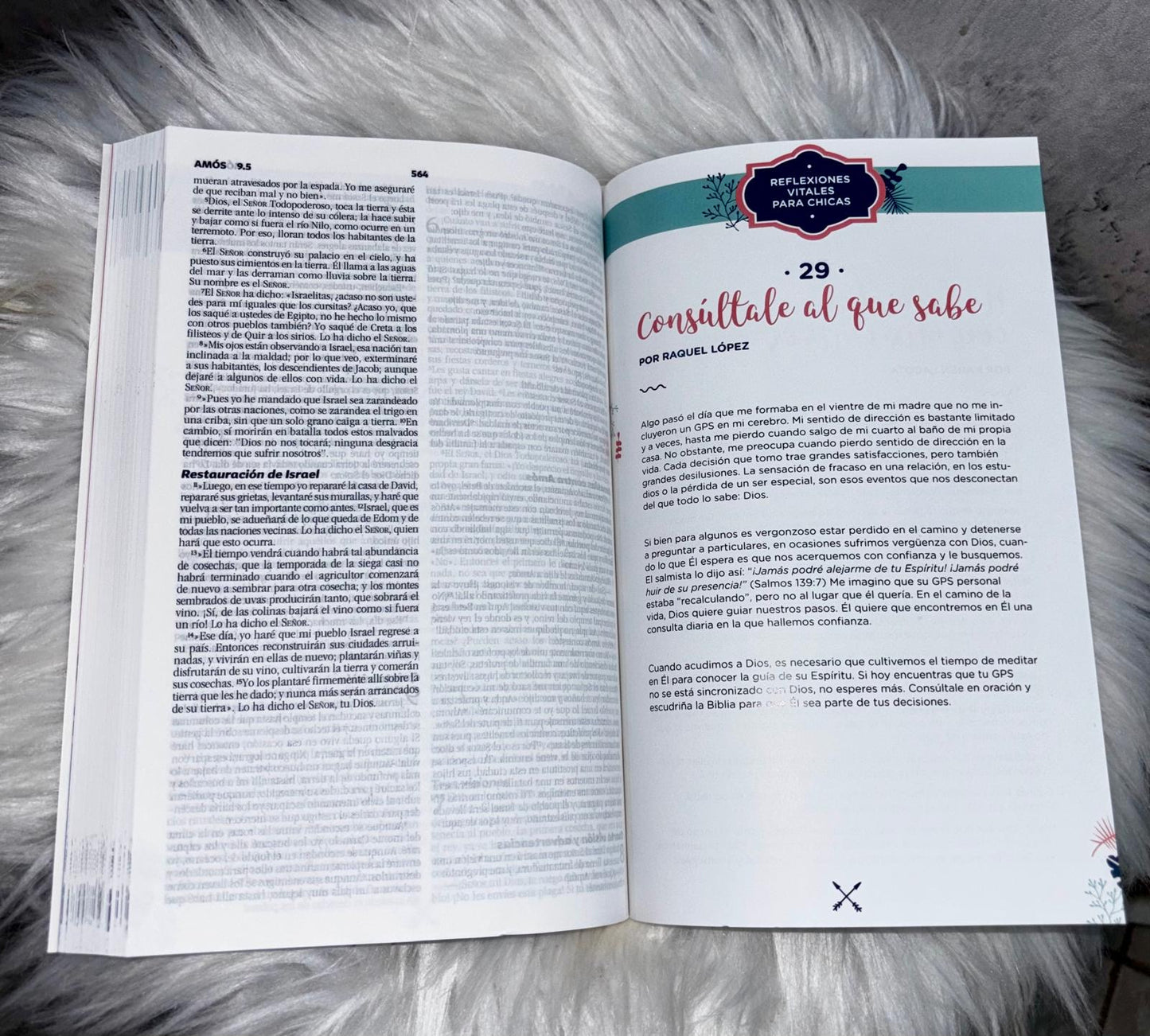 Biblia Para Chicas