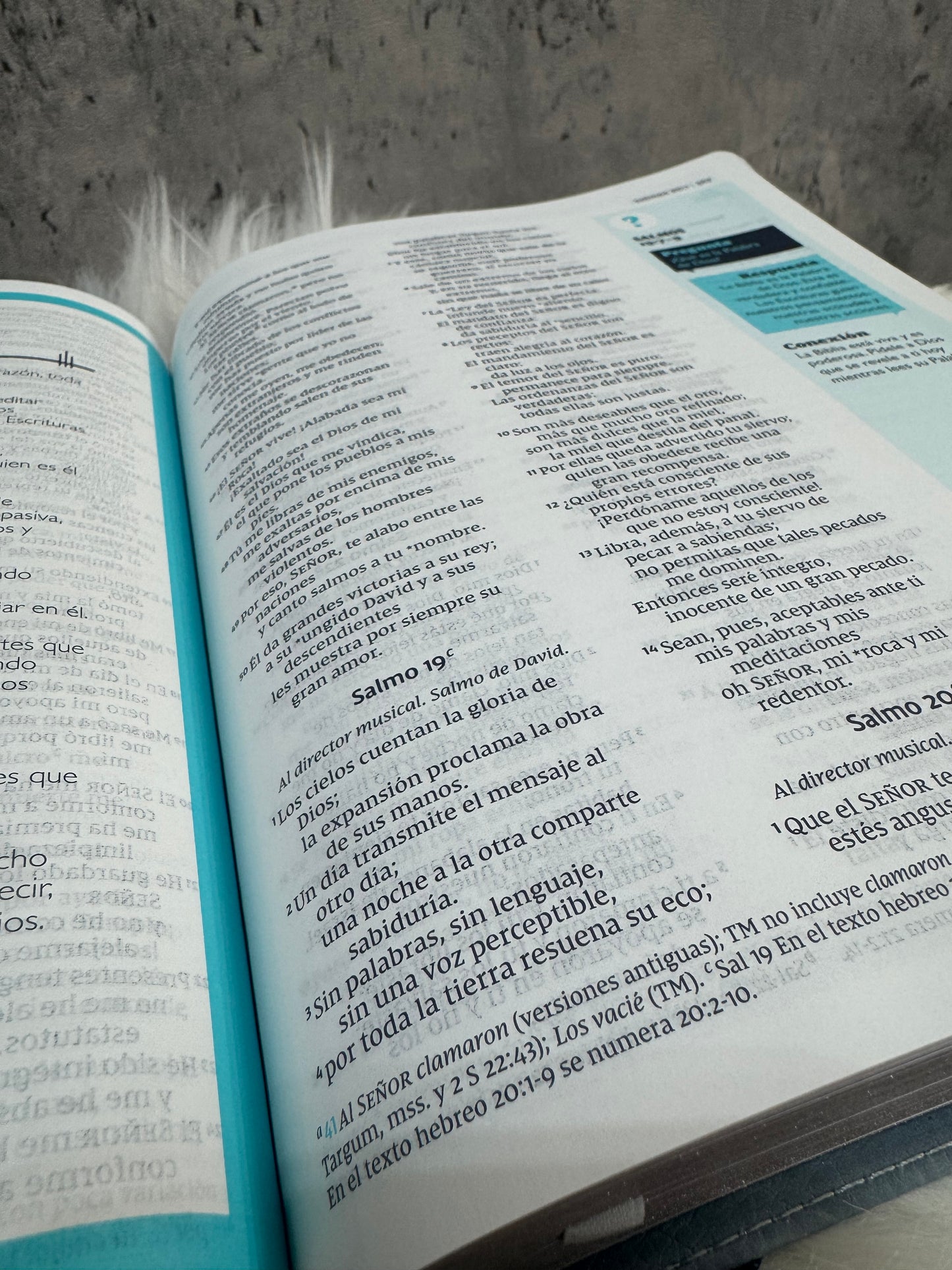 Biblia Telos (jóvenes)