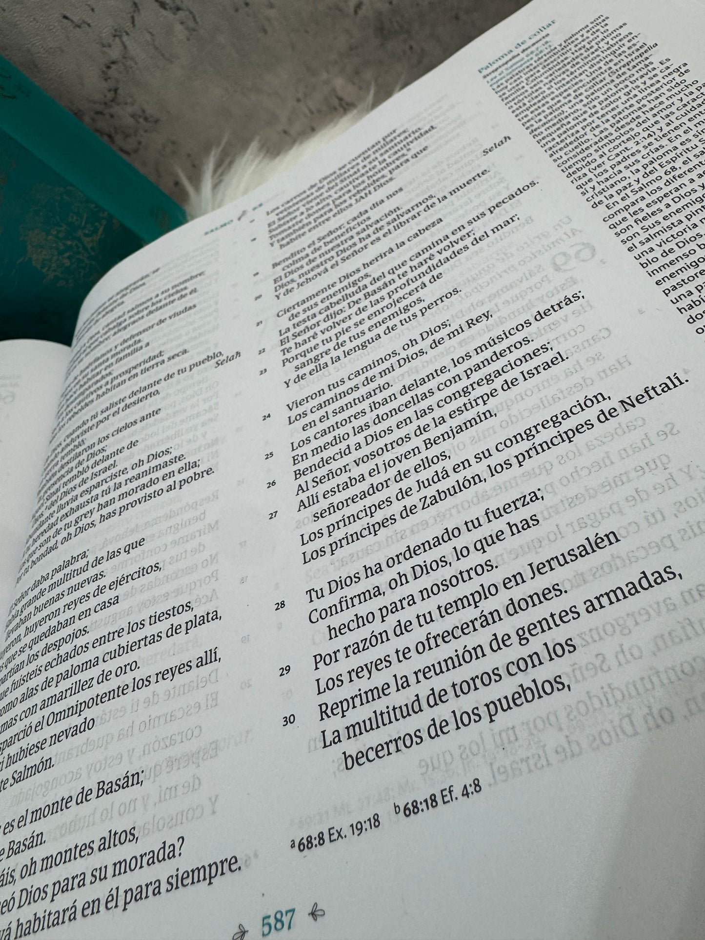 Biblia ilustrada de la Creación