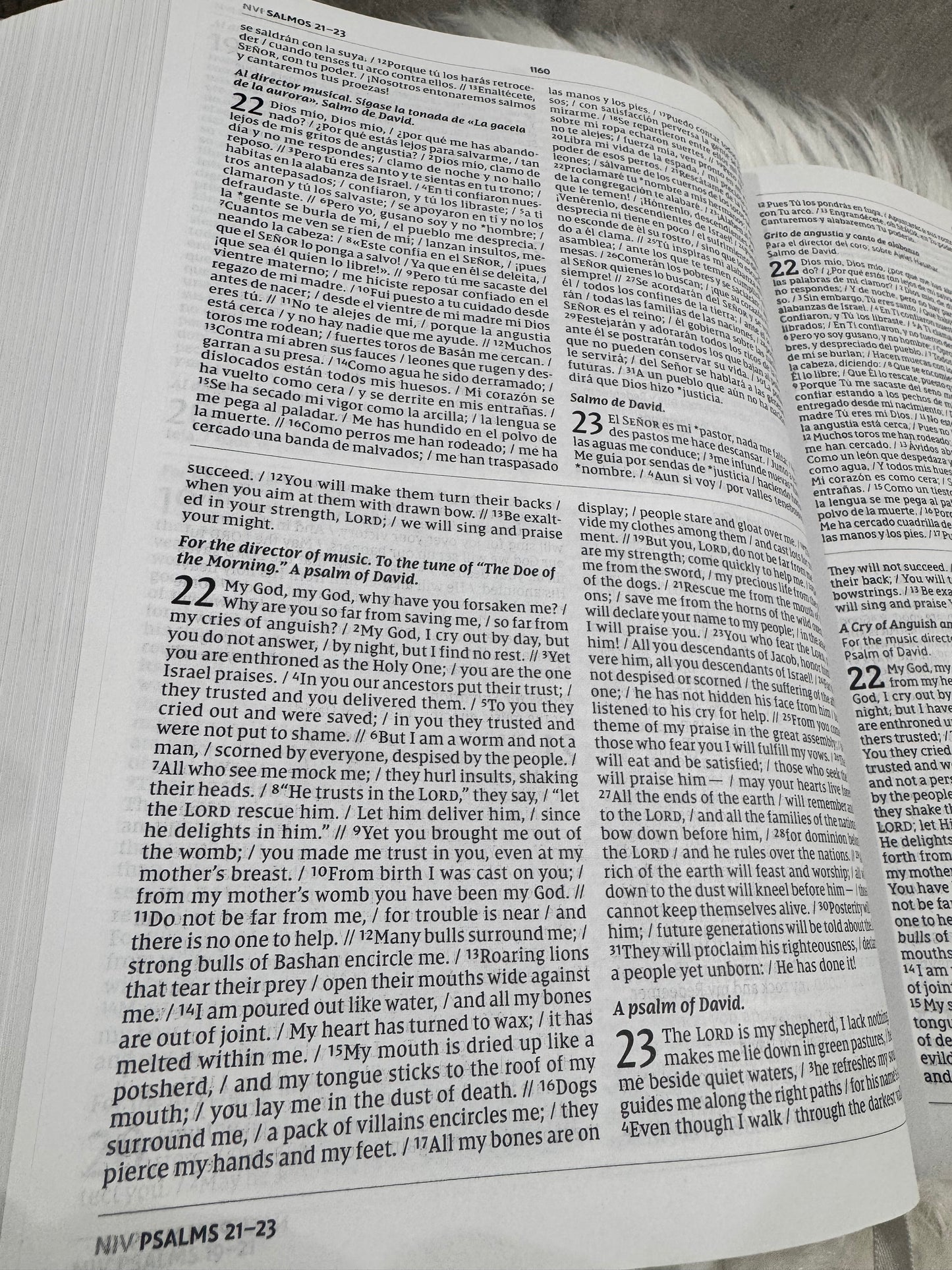 Biblia Paralela Bilingue