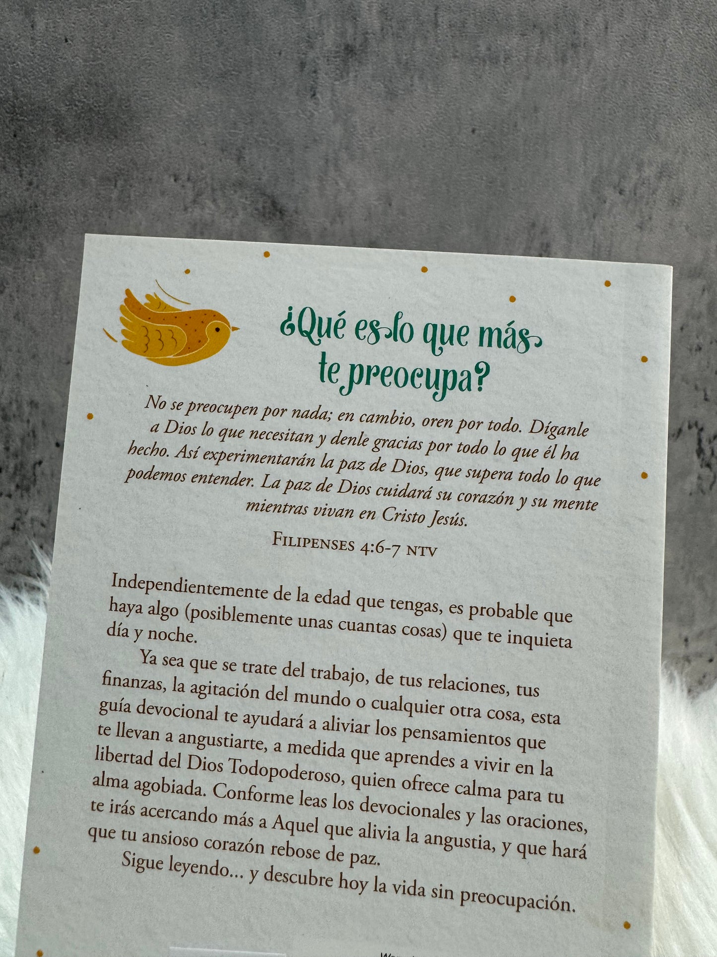 Preocúpate menos y Ora más