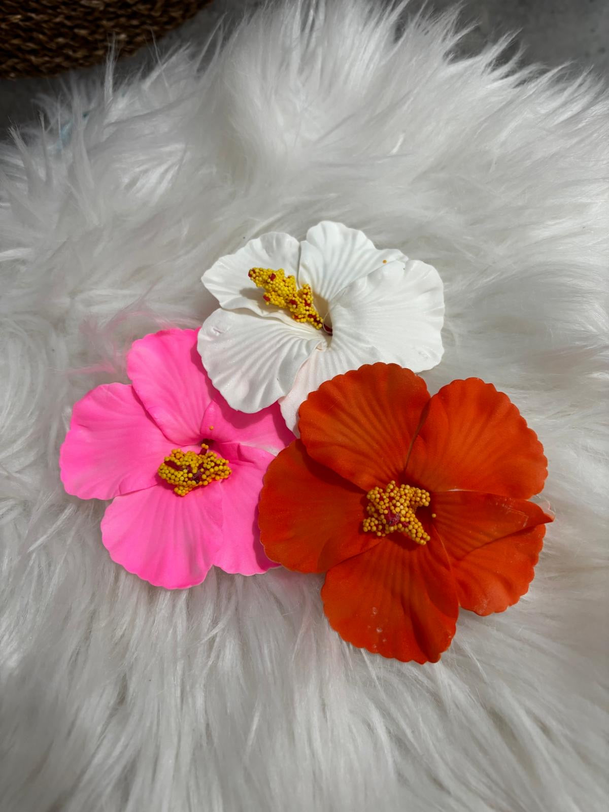 Amapola Cabello