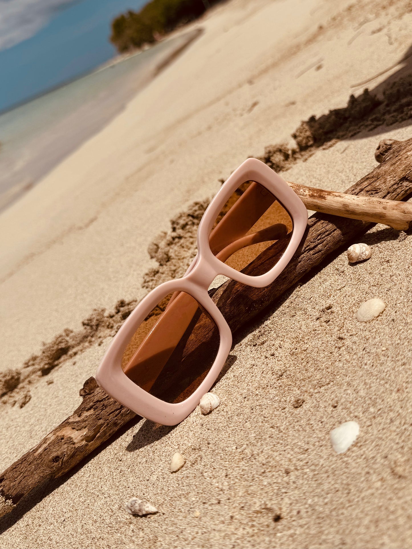 Summer Sunglassed