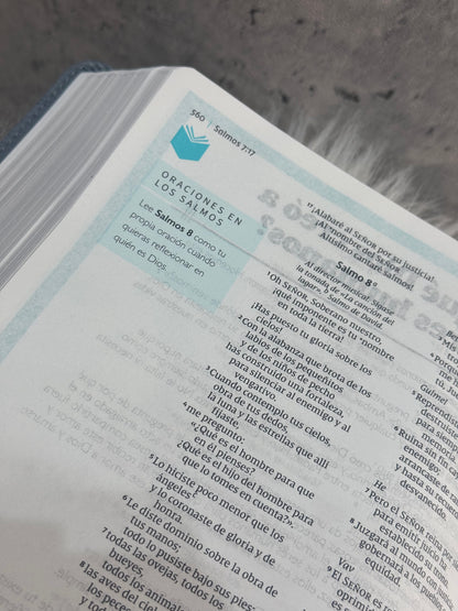Biblia Telos (jóvenes)