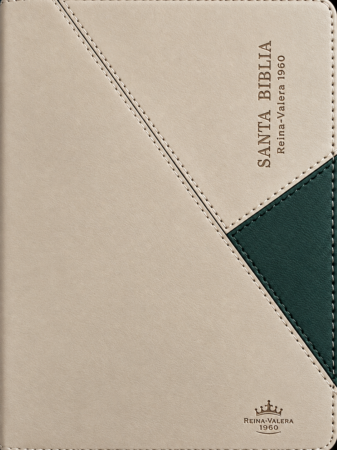 Santa Biblia Reina Valera 1960