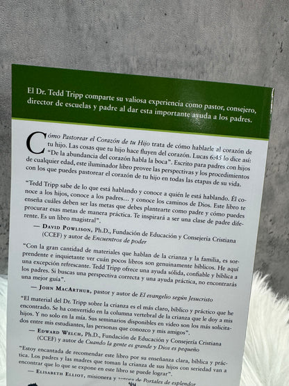 ¿Còmo Pastorear el corazón de tu Hijo?