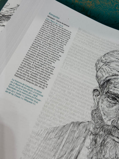 Biblia ilustrada de la Creación
