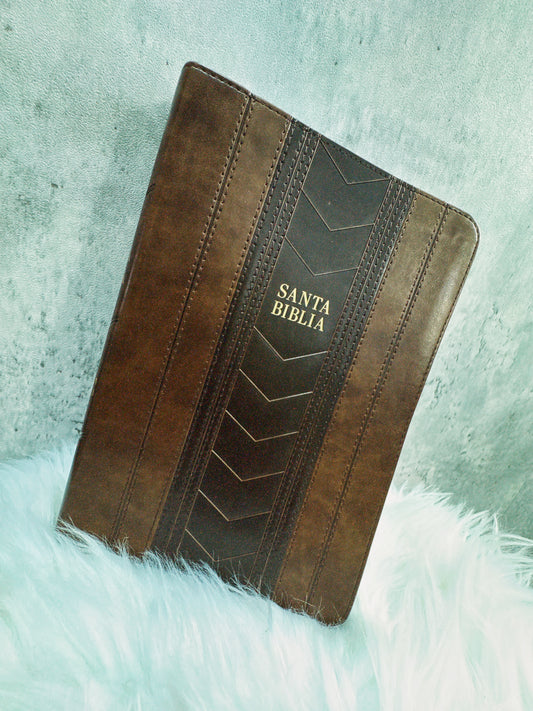 Santa biblia de piel