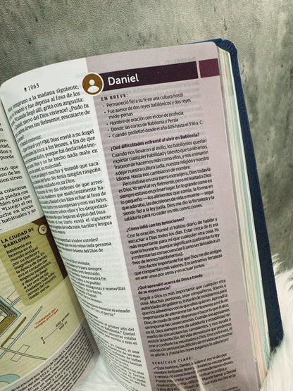 Biblia de estudio de diario vivir juvenil