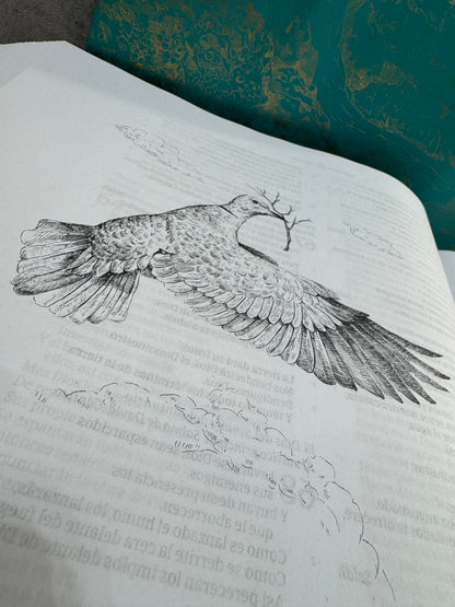 Biblia ilustrada de la Creación