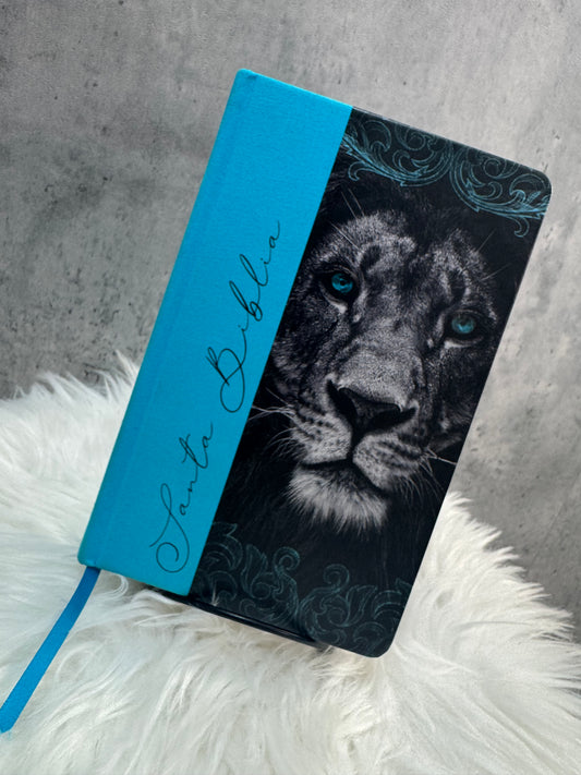 Biblia de caballero carpeta dura