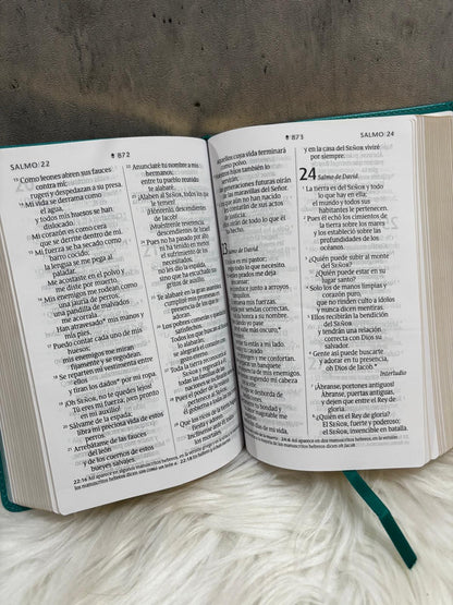 Santa Biblia NTV