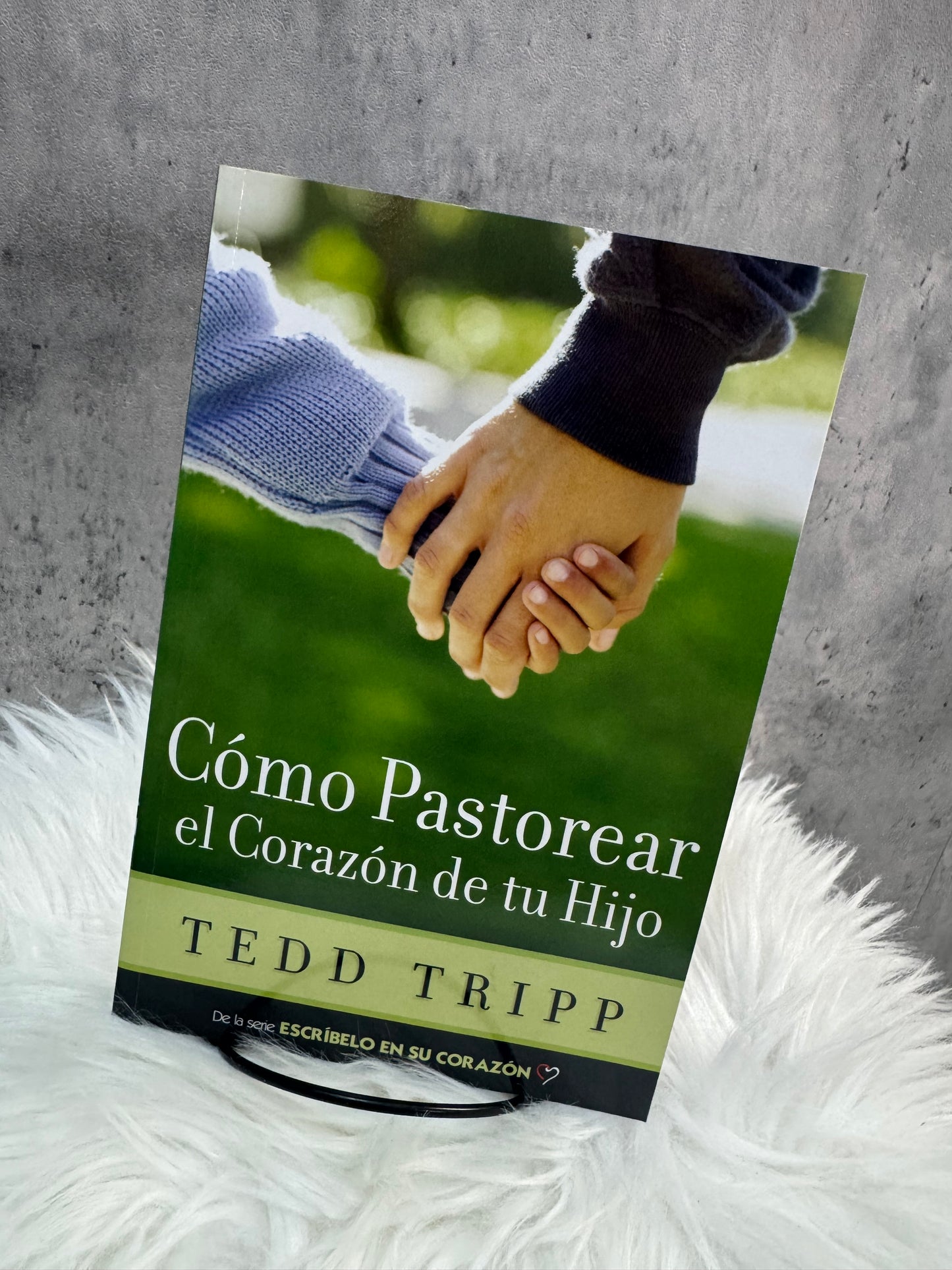 ¿Còmo Pastorear el corazón de tu Hijo?