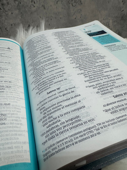 Biblia Telos (jóvenes)