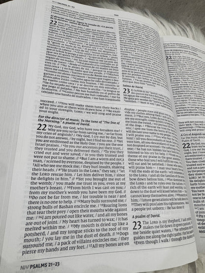 Biblia Paralela Bilingue