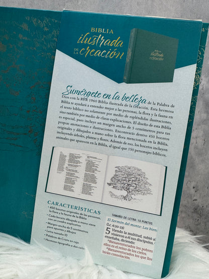 Biblia ilustrada de la Creación