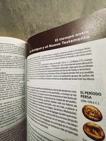 Biblia de estudio de diario vivir juvenil