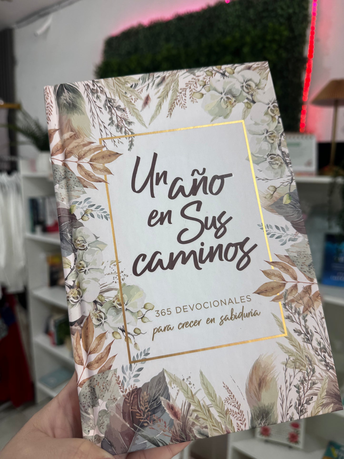 Un AÑo En Sus Caminos