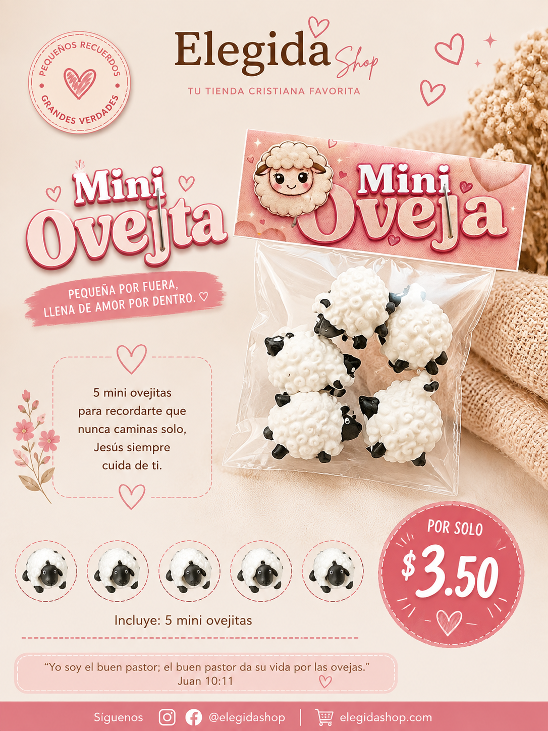 Mini ovejas